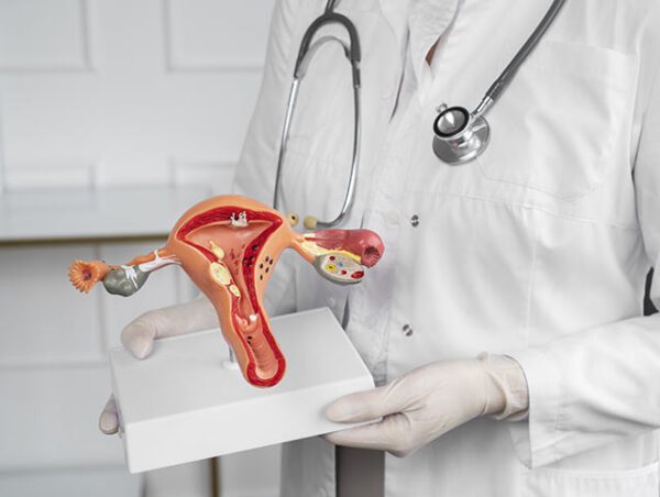 Estudios endometriales - Pregna